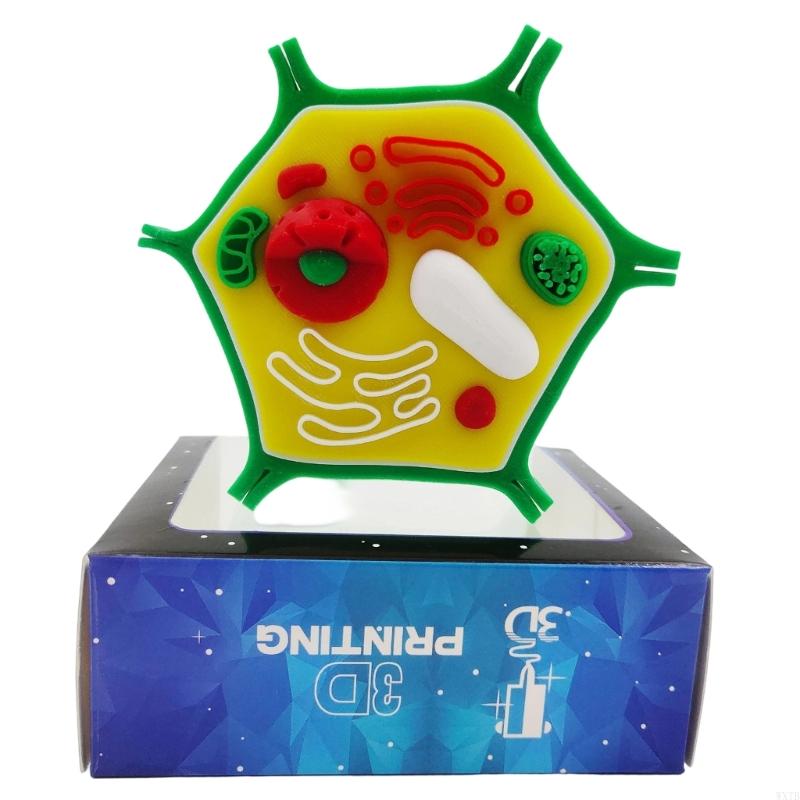 Professional Animal Plant Cell - Medical Lab Study recension och pris
