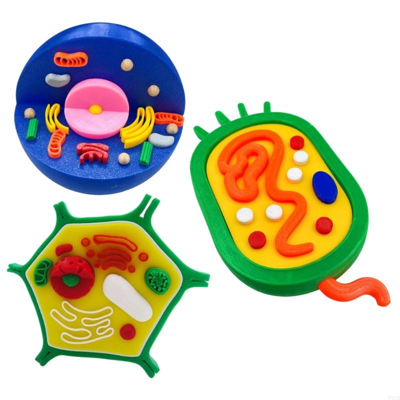 Professional Animal Plant Cell - Medical Lab Study recension och pris