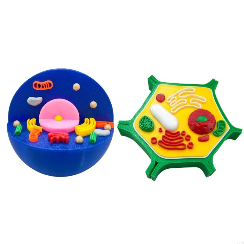 Professional Animal Plant Cell - Medical Lab Study recension och pris