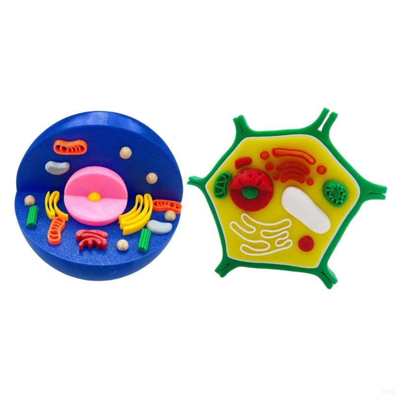 Professional Animal Plant Cell - Medical Lab Study recension och pris