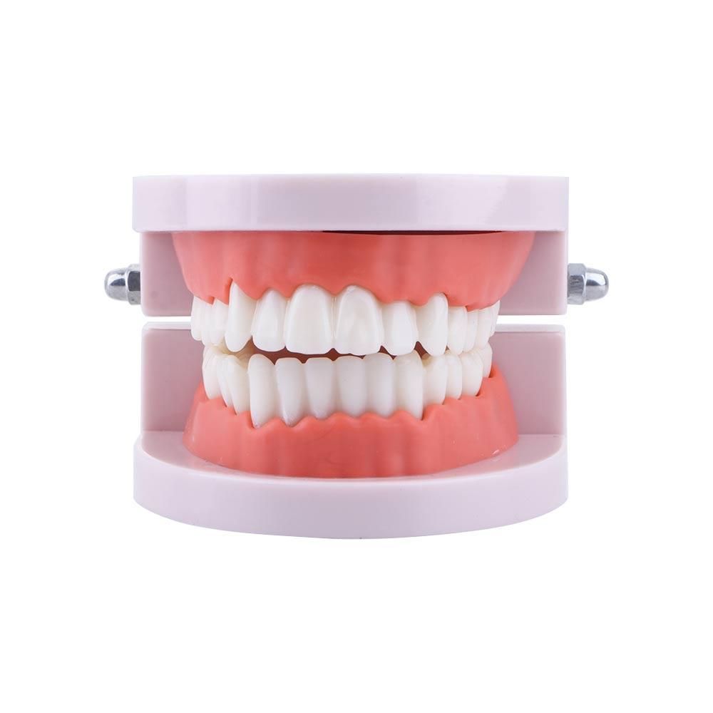 Lab Pro White Study Oral Educa - Medical Lab Study recension och pris